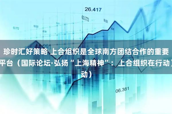 珍时汇好策略 上合组织是全球南方团结合作的重要平台（国际论坛·弘扬“上海精神”：上合组织在行动）