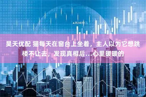 昊天优配 猫每天在窗台上坐着，主人以为它想跳楼不让去，发现真相后…心里暖暖的