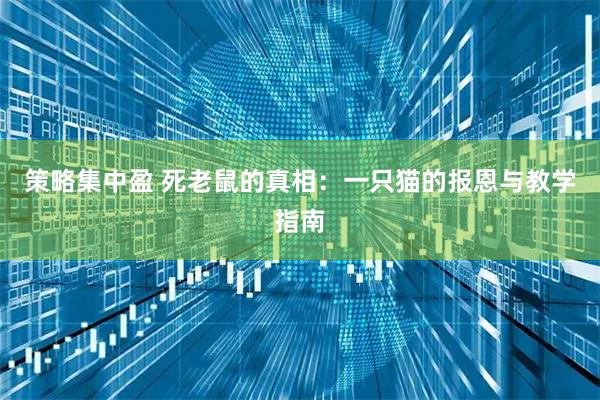 策略集中盈 死老鼠的真相：一只猫的报恩与教学指南