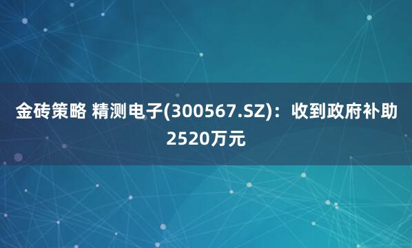 金砖策略 精测电子(300567.SZ)：收到政府补助2520万元